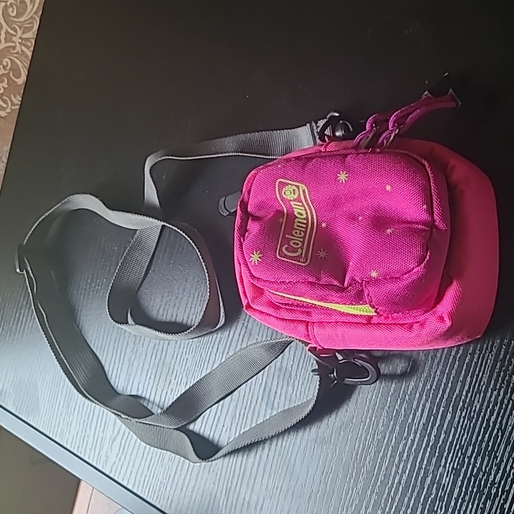 COPY - Coleman hiking bag